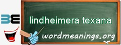 WordMeaning blackboard for lindheimera texana